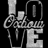 GLT74 SILVER GLITTER Thumbnail