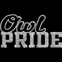 GLT59 SILVER GLITTER Thumbnail